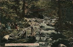 At Congress Springs Postcard