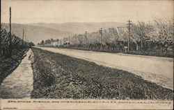 Saratoga Avenue and Interurban Electric Postcard