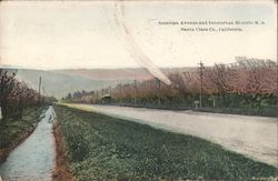 Saratoga Avenue and Interurban Electric R.R. San Jose, CA Postcard Postcard Postcard