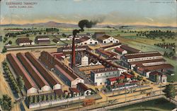 Eberhard Tannery Postcard