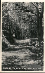 Twin Creek Postcard