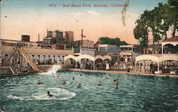 Surf Beach Park Postcard