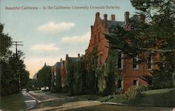 Beautiful California-In the California University Grounds Berkeley Postcard