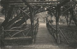 Rustic Bridge, University of California Berkeley Postcard