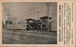 Bentley Ostrich Farm Oakland, CA Postcard Postcard Postcard