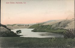 Lake Chabot Hayward, CA Postcard Postcard Postcard