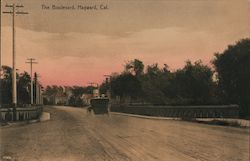 The Boulevard Hayward, CA Postcard Postcard Postcard