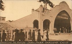 Shooting the Rapids - Idora Park Postcard