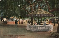 Under the Willows, Idora park Postcard