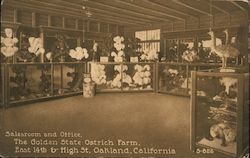 Salesroom and Office, The Golden State Ostrich Farm Oakland, CA Postcard Postcard Postcard