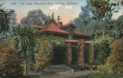 The Lodge, Mosswood Park Oakland, CA Postcard Postcard Postcard