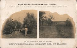 Before and After Irrigation - Palermo, California San Francisco, CA Postcard Postcard Postcard