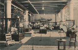 Section of New Millinery Department, Hale Bros. San Francisco, CA Postcard Postcard Postcard