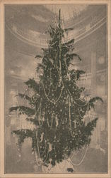 City of Paris Christmas Tree San Francisco, CA Postcard Postcard Postcard