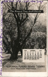 California Almond Growers Exchange April 1920 Calendar Postcard