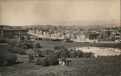 Mission Park from 20th St. San Francisco, CA Postcard Postcard Postcard