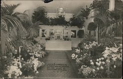 Julius Eppstein Florist and Decorator San Francisco, CA Postcard Postcard Postcard