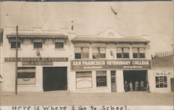 San Francisco Veterinary College Postcard