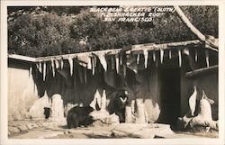 Black Bear & Gertie (Sloth) Fleishhacker Zoo San Francisco, CA Postcard Postcard Postcard