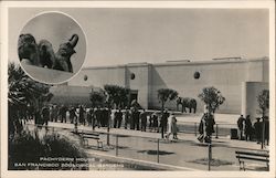 Pachyderm House - San Francisco Zoological Gardens California Postcard Postcard Postcard