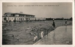 Municipal Pool - Largest Swimming Tank in the World Postcard