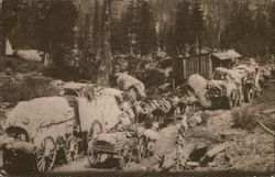 Close-up of Wagon Trains near Cisco California Postcard Postcard Postcard