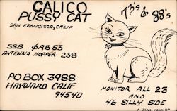 Calico Pussy Cat San Francisco, CA Postcard Postcard Postcard