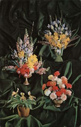 Spring Comes Early at Podesta Baldocchi, Floral Arrangements Postcard