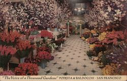 "The Voice of a Thousand Gardens" - Podesta & Baldocchi San Francisco, CA Postcard Postcard Postcard