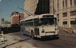 San Francisco Trolley Bus Postcard