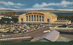 Cow Palace Postcard