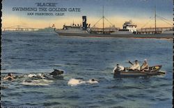 "Blackie" Swimming the Golden Gate San Francisco, CA Postcard Postcard Postcard