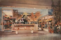 View of Podesta Baldocchi's shop in the lobby of the Palace Hotel Postcard