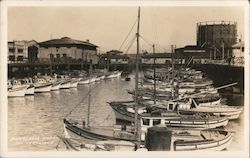 Fisherman's Wharf Postcard