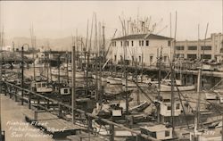 Fishing Fleet, Fisherman's Wharf San Francisco, CA Postcard Postcard Postcard