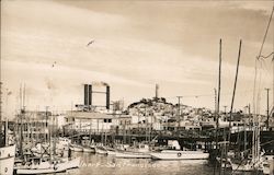 Fisherman's Wharf San Francisco, CA Postcard Postcard Postcard