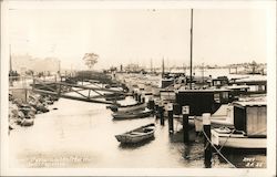 Yacht Harbor in the Marina San Francisco, CA Postcard Postcard Postcard