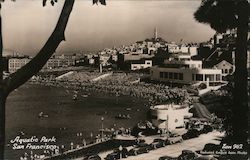 Aquatic Park San Francisco, CA Postcard Postcard Postcard