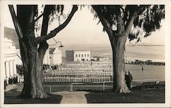 Military Formation San Francisco, CA Postcard Postcard Postcard