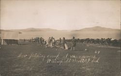 Presidio Pitching Camp at Maneuvers Fort Winfield Scott San Francisco, CA Postcard Postcard Postcard