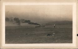 Pacific Ocean and Lighthouse at Mile Rocks Postcard