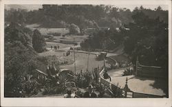 Scene in Golden Gate Park San Francisco, CA Postcard Postcard Postcard