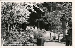 Oriental Tea Garden San Francisco, CA Postcard Postcard Postcard