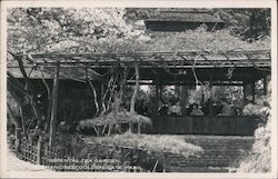 Oriental Tea Garden - Golden Gate Park San Francisco, CA Postcard Postcard Postcard