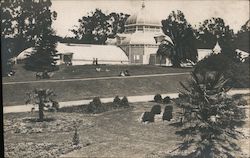 Golden Gate Park Postcard