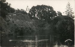 Stone Quarry Golden Gate Park San Francisco, CA Postcard Postcard Postcard