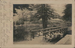 Old Wood Bridge in a Park San Francisco, CA Postcard Postcard Postcard