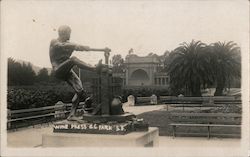 Wine Press Golden Gate Park Postcard