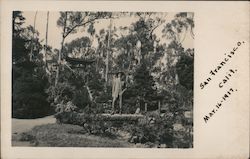 Japanese Tea Garden, Golden Gate Park Postcard