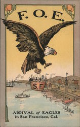 Arrival of Eagles Postcard